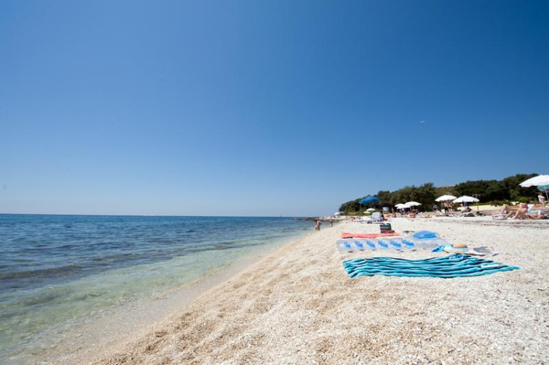 Cvek * Rovinj