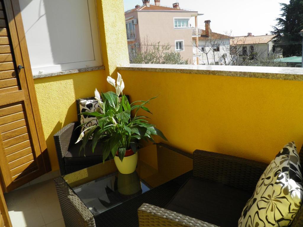 Apartman Cvek
